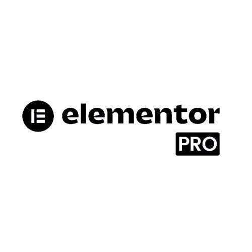 Elementor-Pro.jpg